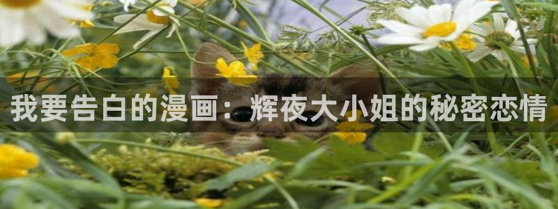 妖姬漫画下载链接免费：我要告白的漫画：辉夜大小姐的秘密恋情