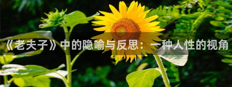 妖姬漫画破解版：《老夫子》中的隐喻与反思：一种人性的视角