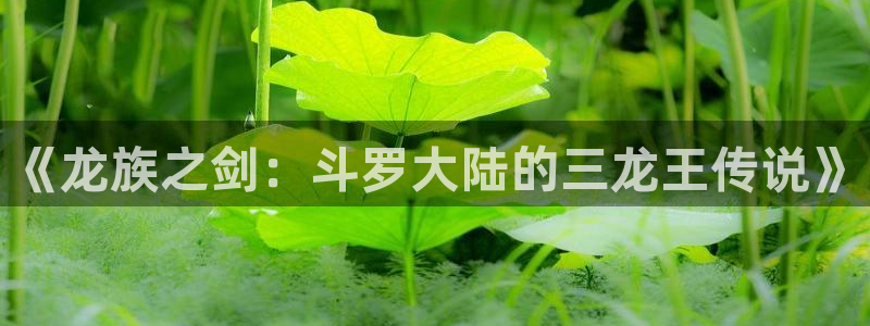 妖姬漫画免费版下载：《龙族之剑：斗罗大陆的三龙王传说》